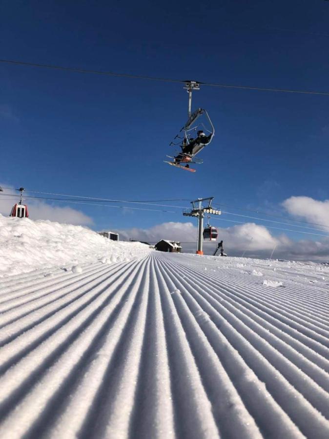 New Gudauri Redco Twins-Premium Mountain Apartment Close The Gondola Lift Exterior photo